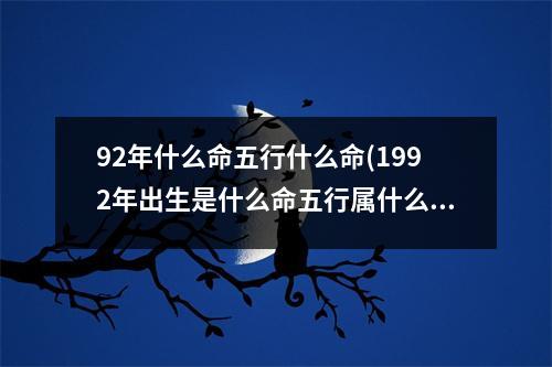 92年什么命五行什么命(1992年出生是什么命五行属什么)