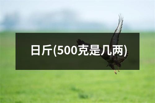 日斤(500克是几两)