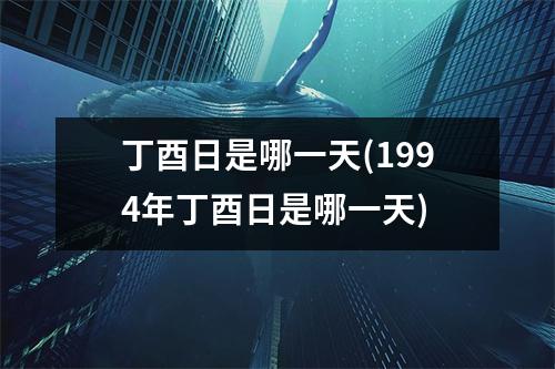 丁酉日是哪一天(1994年丁酉日是哪一天)