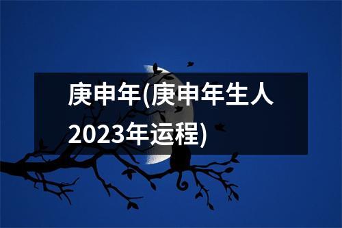 庚申年(庚申年生人2023年运程)