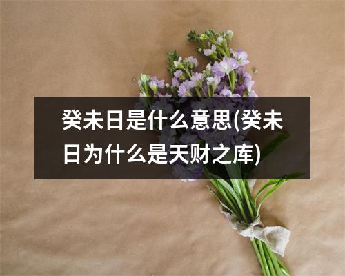 癸未日是什么意思(癸未日为什么是天财之库)