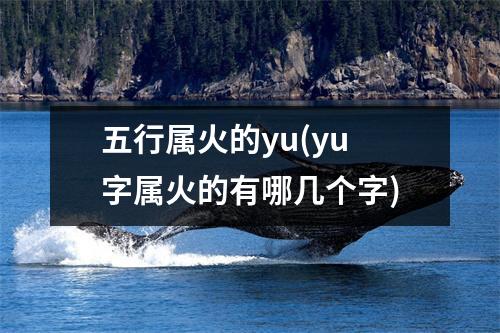 五行属火的yu(yu字属火的有哪几个字)