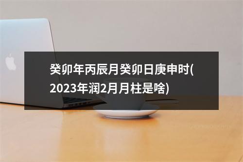 癸卯年丙辰月癸卯日庚申时(2023年润2月月柱是啥)