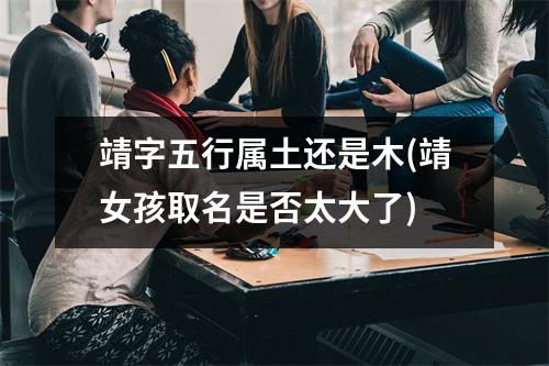 靖字五行属土还是木(靖女孩取名是否太大了)