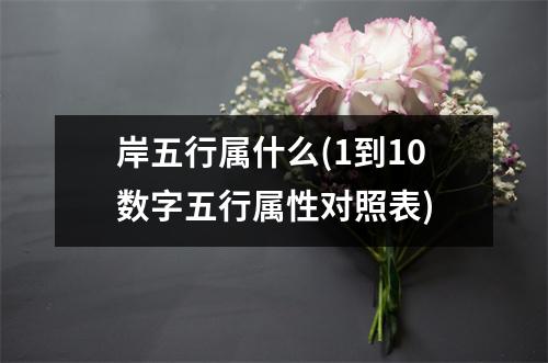 岸五行属什么(1到10数字五行属性对照表)