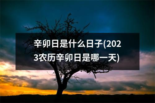 辛卯日是什么日子(2023农历辛卯日是哪一天)