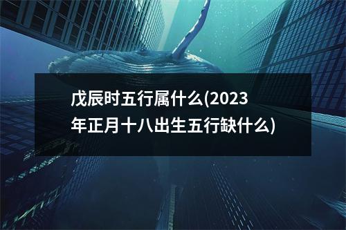 戊辰时五行属什么(2023年正月十八出生五行缺什么)