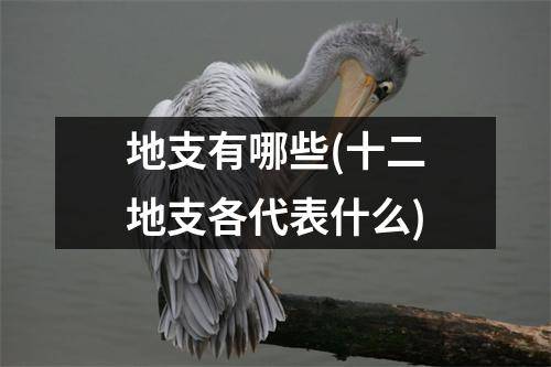 地支有哪些(十二地支各代表什么)