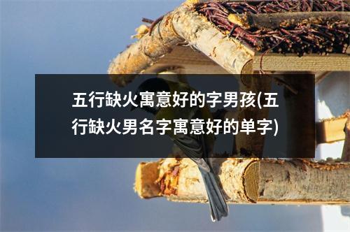 五行缺火寓意好的字男孩(五行缺火男名字寓意好的单字)