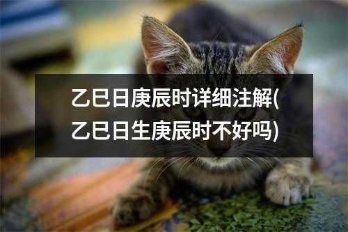 乙巳日庚辰时详细注解(乙巳日生庚辰时不好吗)