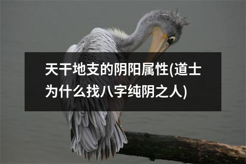 天干地支的阴阳属性(道士为什么找八字纯阴之人)