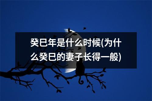 癸巳年是什么时候(为什么癸巳的妻子长得一般)