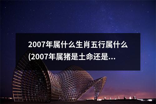 2007年属什么生肖五行属什么(2007年属猪是土命还是火命)