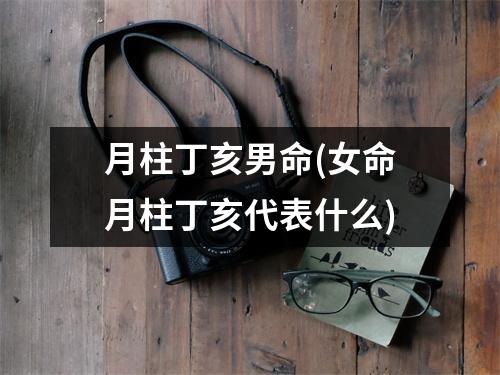 月柱丁亥男命(女命月柱丁亥代表什么)