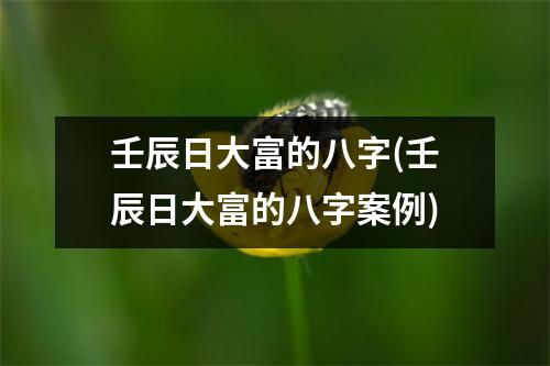 壬辰日大富的八字(壬辰日大富的八字案例)