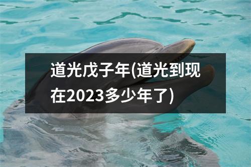 道光戊子年(道光到现在2023多少年了)