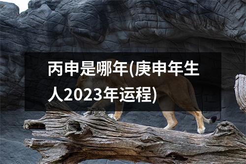 丙申是哪年(庚申年生人2023年运程)