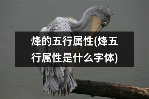 烽的五行属性(烽五行属性是什么字体)