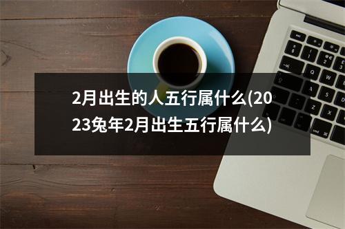 2月出生的人五行属什么(2023兔年2月出生五行属什么)