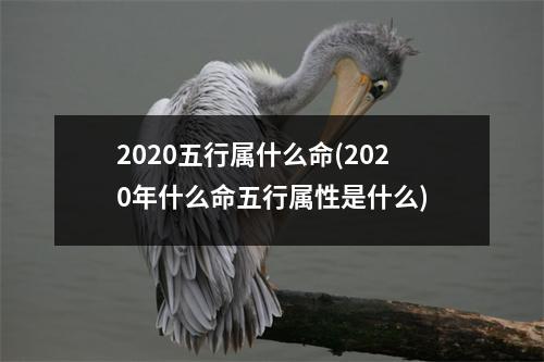 2020五行属什么命(2020年什么命五行属性是什么)