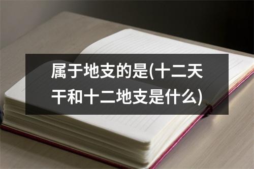 属于地支的是(十二天干和十二地支是什么)