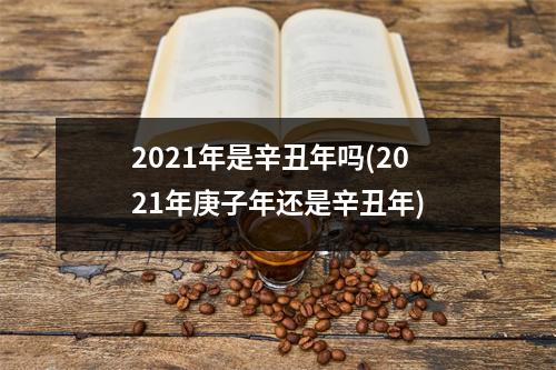 2021年是辛丑年吗(2021年庚子年还是辛丑年)