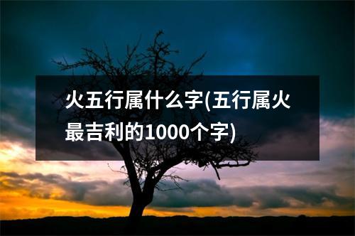 火五行属什么字(五行属火吉利的1000个字)