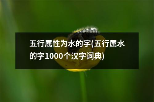 五行属性为水的字(五行属水的字1000个汉字词典)