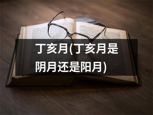 丁亥月(丁亥月是阴月还是阳月)