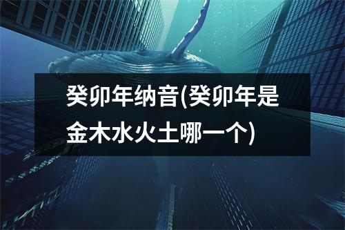 癸卯年纳音(癸卯年是金木水火土哪一个)