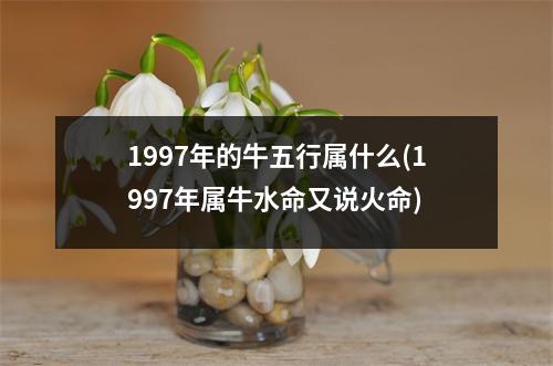 1997年的牛五行属什么(1997年属牛水命又说火命)