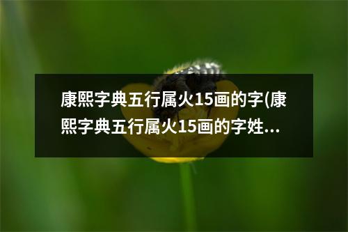 康熙字典五行属火15画的字(康熙字典五行属火15画的字姓名学解释)