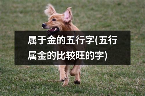 属于金的五行字(五行属金的比较旺的字)