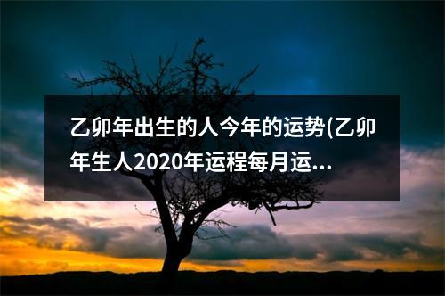 乙卯年出生的人今年的运势(乙卯年生人2020年运程每月运势)