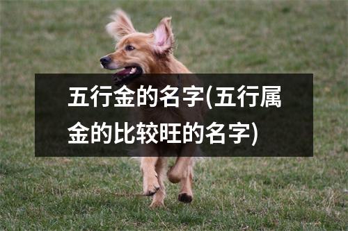 五行金的名字(五行属金的比较旺的名字)