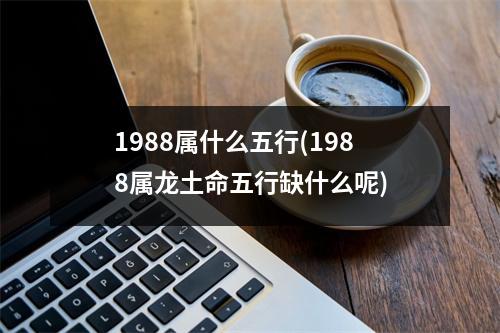 1988属什么五行(1988属龙土命五行缺什么呢)