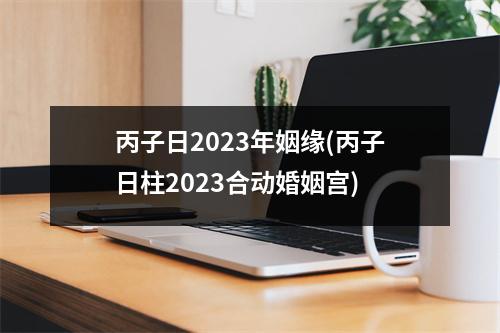 丙子日2023年姻缘(丙子日柱2023合动婚姻宫)