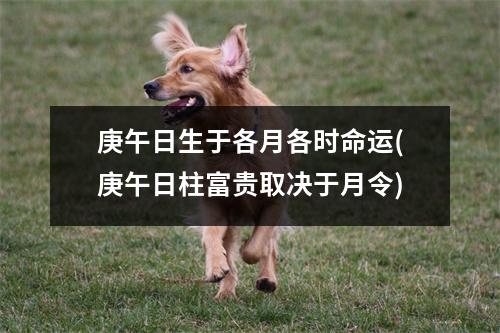 庚午日生于各月各时命运(庚午日柱富贵取决于月令)