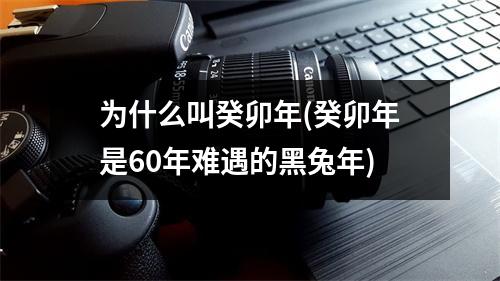 为什么叫癸卯年(癸卯年是60年难遇的黑兔年)