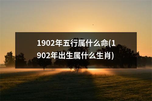 1902年五行属什么命(1902年出生属什么生肖)