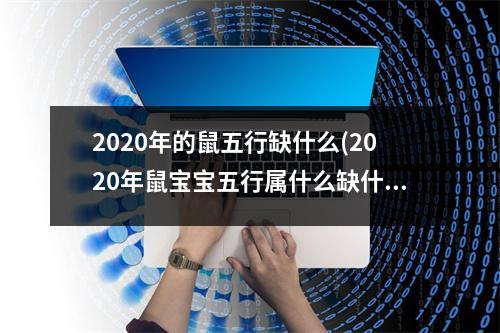 2020年的鼠五行缺什么(2020年鼠宝宝五行属什么缺什么)