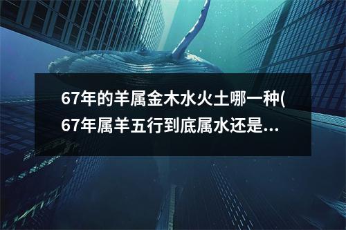 67年的羊属金木水火土哪一种(67年属羊五行到底属水还是火命)