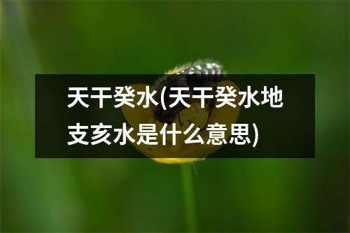 天干癸水(天干癸水地支亥水是什么意思)