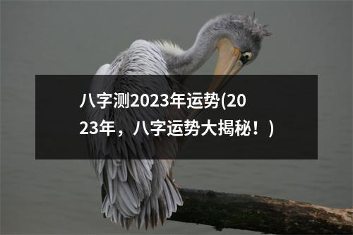 八字测2023年运势(2023年，八字运势大揭秘！)