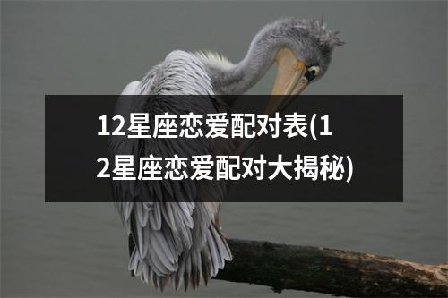 12星座恋爱配对表(12星座恋爱配对大揭秘)