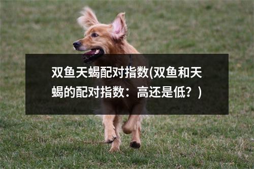 双鱼天蝎配对指数(双鱼和天蝎的配对指数：高还是低？)