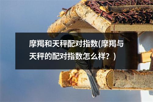 摩羯和天秤配对指数(摩羯与天秤的配对指数怎么样？)