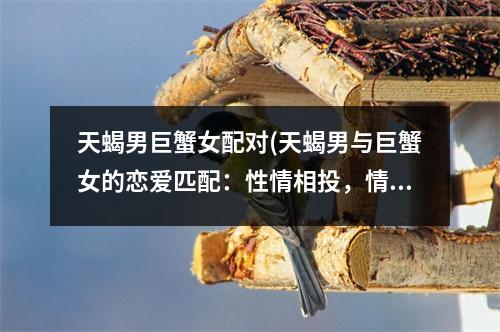 天蝎男巨蟹女配对(天蝎男与巨蟹女的恋爱匹配：性情相投，情感绵长)