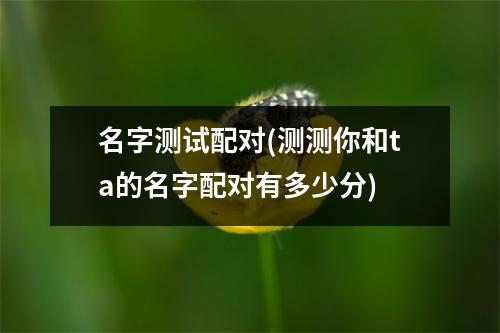 名字测试配对(测测你和ta的名字配对有多少分)