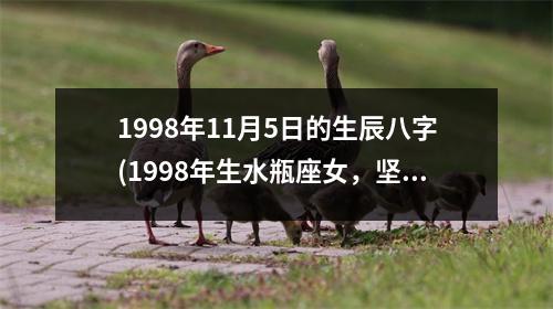 1998年11月5日的生辰八字(1998年生水瓶座女，坚韧不拔追求自由)